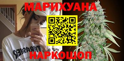 крисы Тверь
