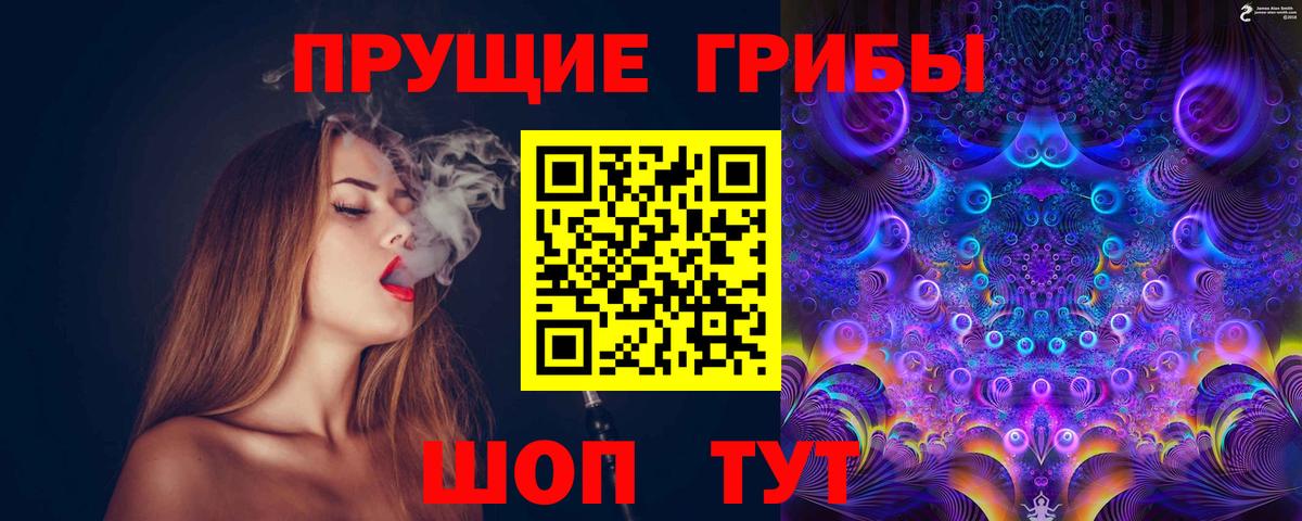 Новосибирск  Псилоцибиновые грибы мухоморы  Вход с VPN  Псилоцибиновые грибы мицелий 