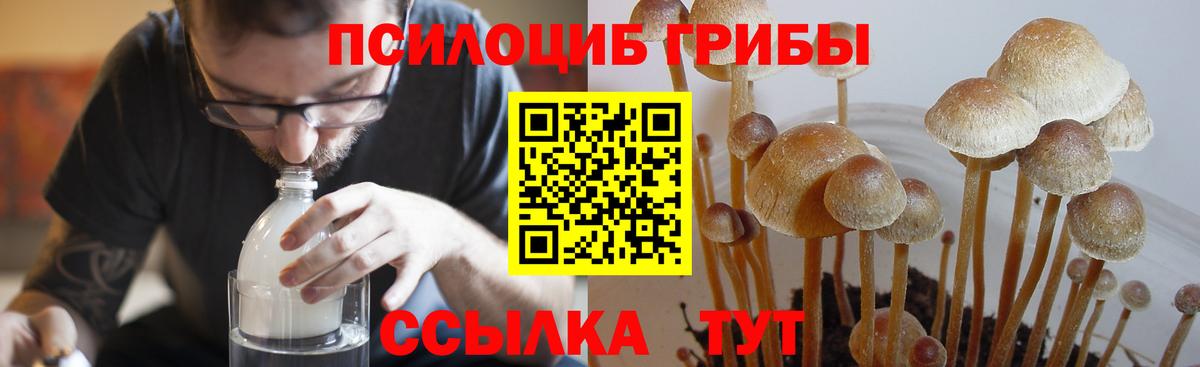 Псилоцибиновые грибы GOLDEN TEACHER Новосибирск